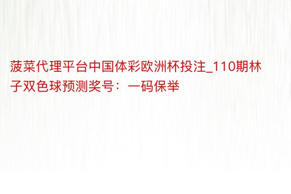 菠菜代理平台中国体彩欧洲杯投注_110期林子双色球预测奖号：一码保举