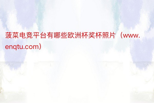 菠菜电竞平台有哪些欧洲杯奖杯照片(www.enqtu.com)